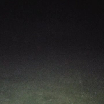 Turn up volume. Frogs in a pond at night