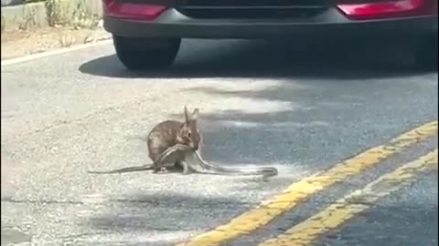 So. late for work. Then this happens....