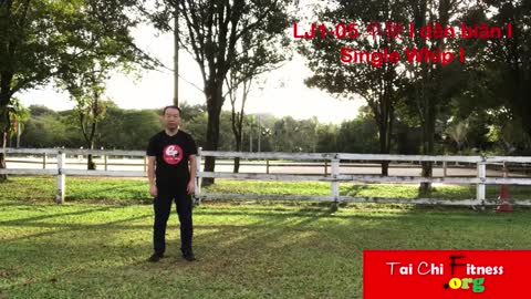 Aerobic Tai Chi Workout - LJ1-05 单鞭 I dān biān I Single Whip I