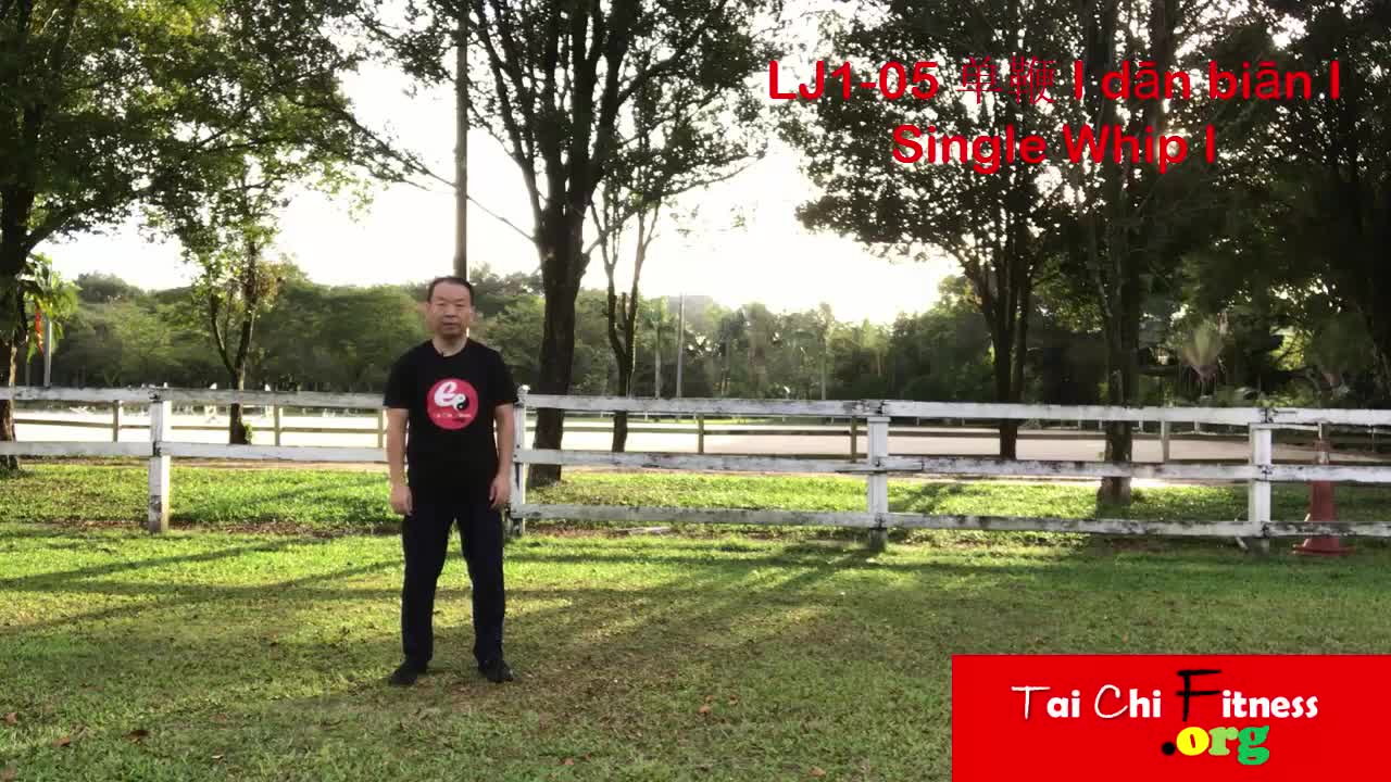 Aerobic Tai Chi Workout - LJ1-05 单鞭 I dān biān I Single Whip I
