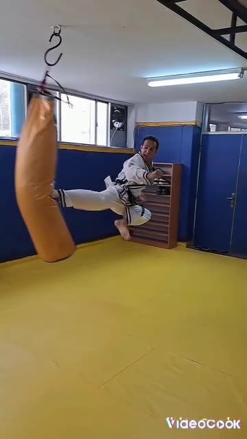 Jump Spinning Back Kick