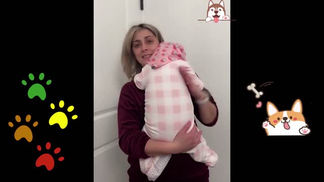 cute dog pampered like baby 😍😍😂😂
