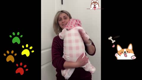cute dog pampered like baby 😍😍😂😂