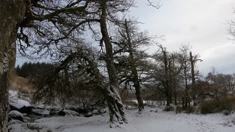 Walk through a wildcamp in the snow. Dec 2022