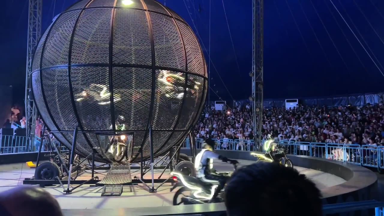 The amazing abilities of humans