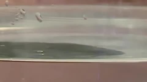 Not be important but amazing.