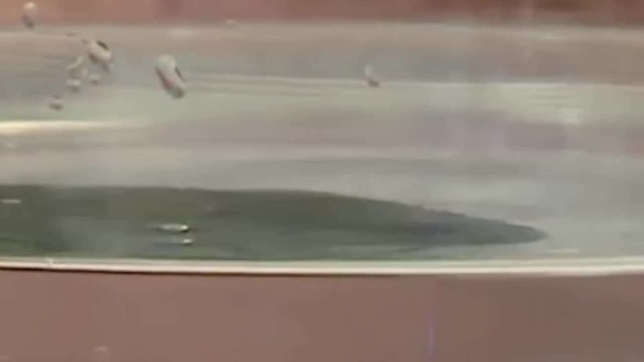 Not be important but amazing.