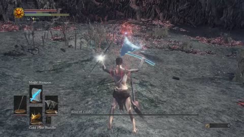 Soul Of Cinder Twin Axes No Damage Taken, Dark Souls 3