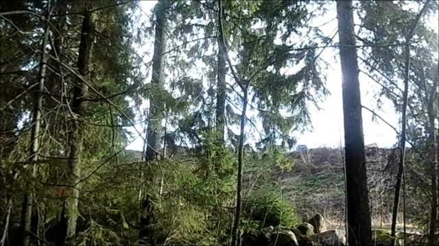 The Mind like the weather - Indy Angel