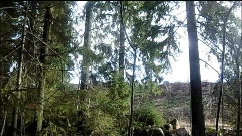 The Mind like the weather - Indy Angel