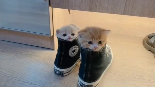 so small