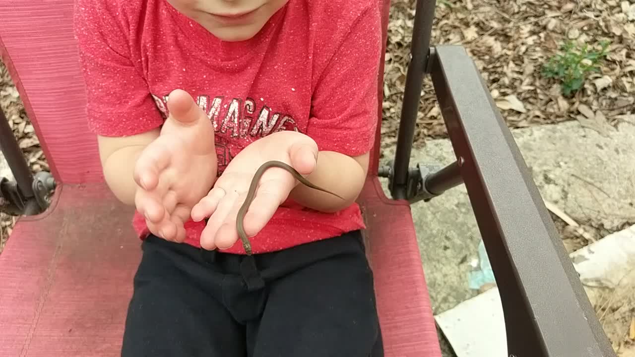 Cute little boy with Earthsnake.