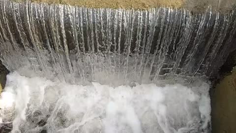 Baby fish Jumping towards water flow