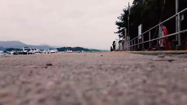 Mavic mini