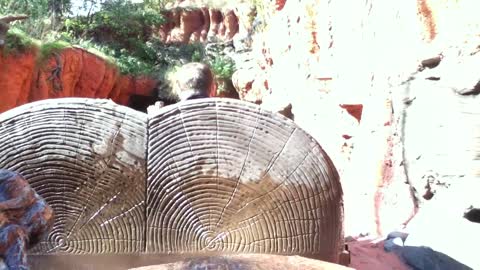 Splash Mountain Disneyland, Nobody stays dry on this one!