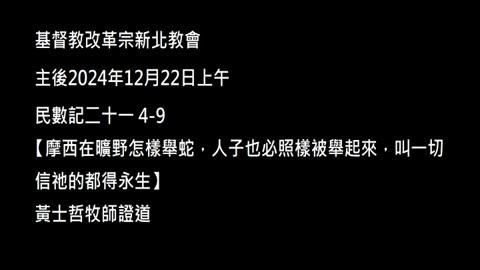 【摩西在曠野怎樣舉蛇，人子也必照樣被舉起來，叫一切信祂的都得永生】