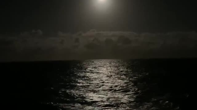 Offélia's dream PIANO DARK Piano, string quartet (MUSIC BY PAINO SAD/TRISTE) SEA VIDEO