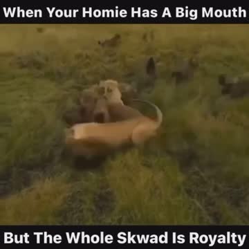 Every One Has That One Homie!!