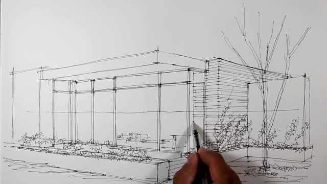 Draw A Tree On The Outside Of The Building