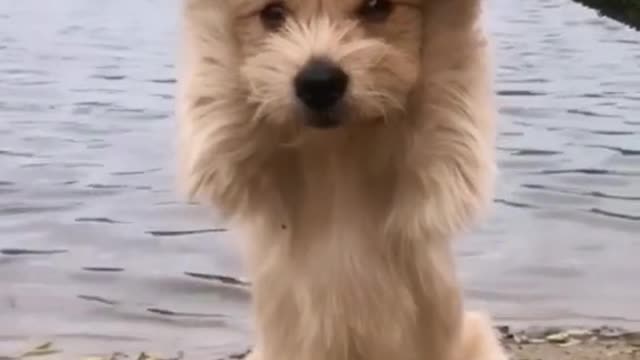 Help me