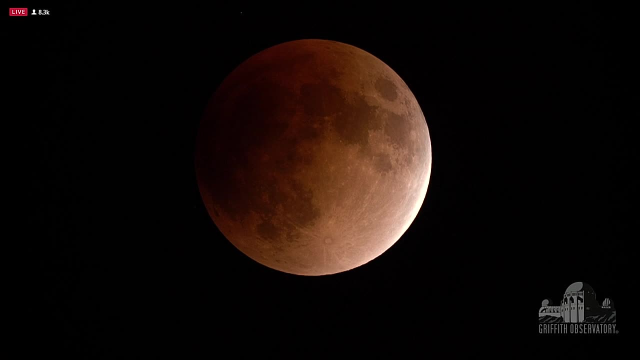 Super Blue Moon Lunar Eclipse