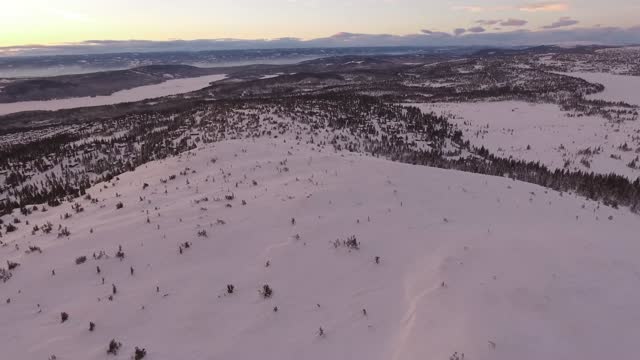 Snowy Landscape Mountains Forest White Winter HQ