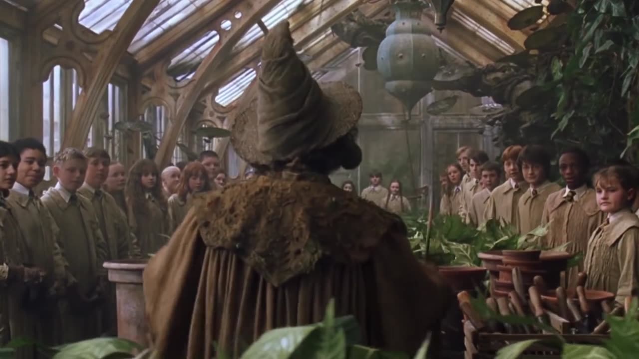 Learn English with Harry potter