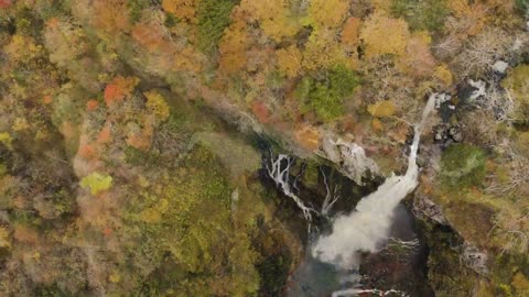 Relaxing Music | Sleeping, Meditation, Stress Relief | [6140] ⭐️