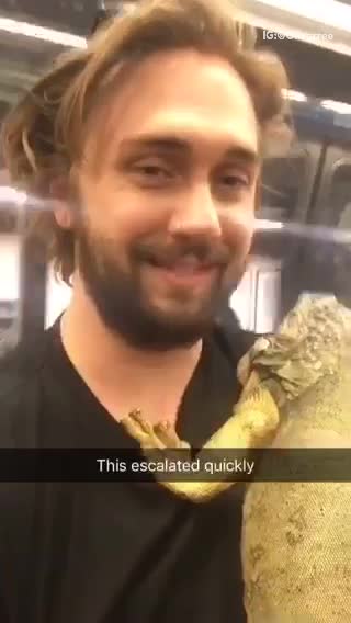 Man in black shirt holding iguana