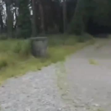 📍Ireland Today the government announced that the first migrants will be