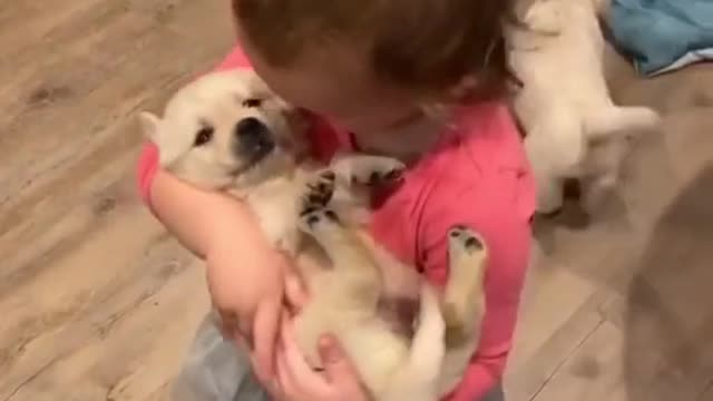 Kids loves Puppy and Dog