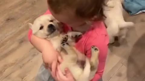 Kids loves Puppy and Dog