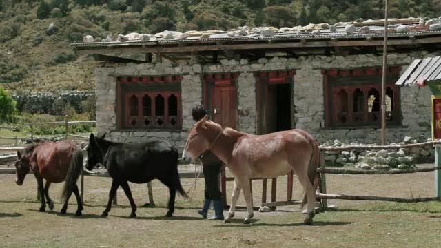 L.ecole.du.bout.du.monde. (2019.VOSTFR.1080p)