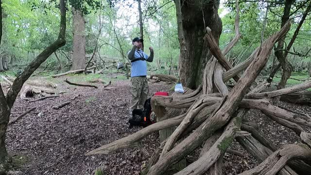 Test footage before filming putting hiking bag to leave a woodland. New forest