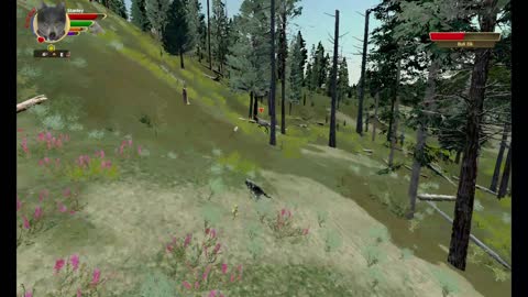 WolfQuest AE Elk Round Challenge - 36