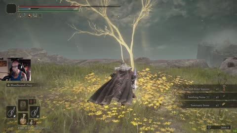 Elden Ring NG+2 series, dual Whip build - Part 2