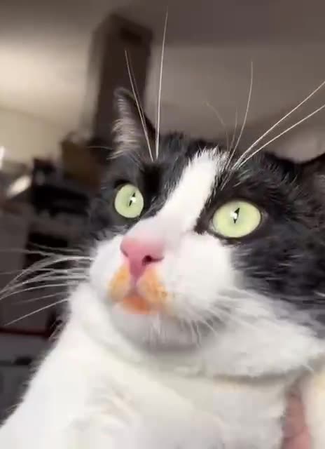 Trying to get rid of the evidence eh? 😂