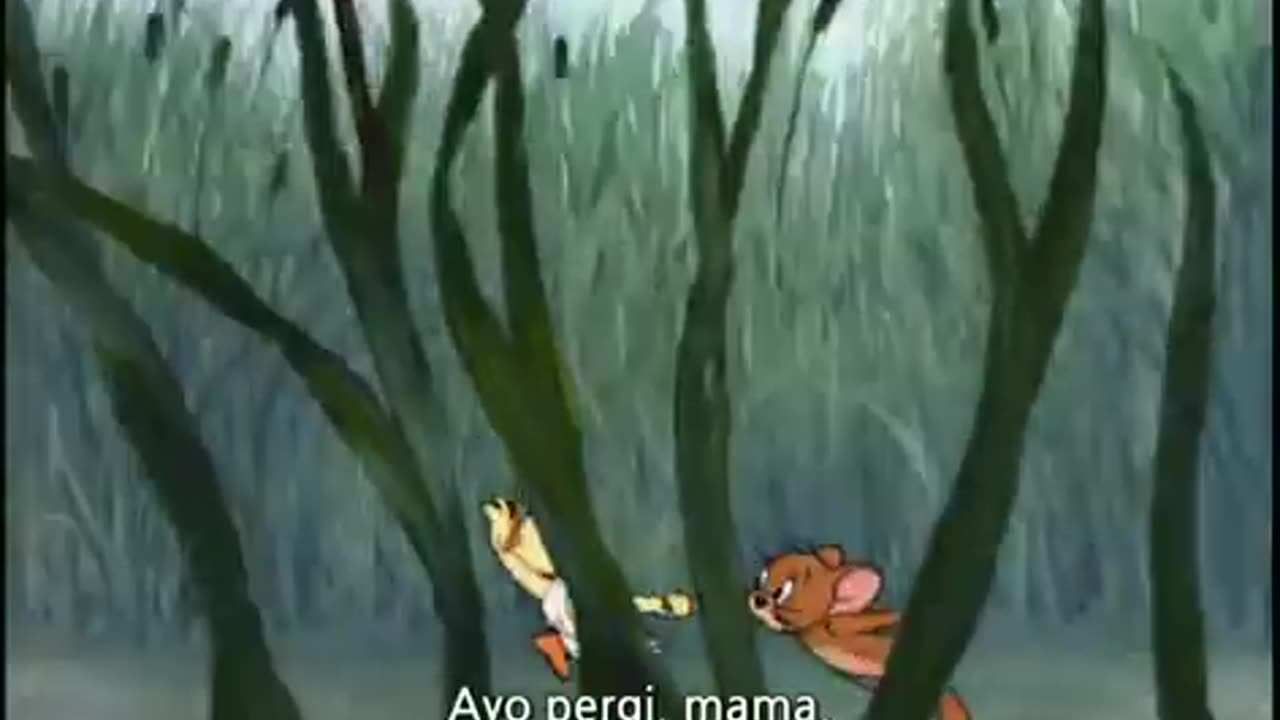 Tom and jerry cartoon