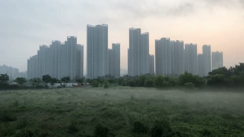 Misty city. Subtle beauty