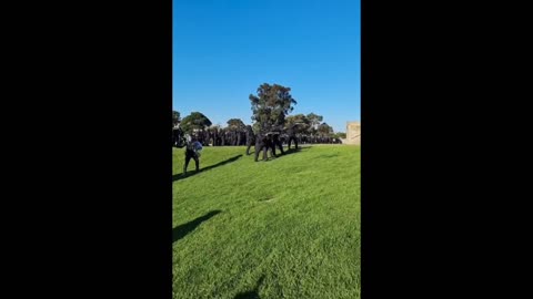 Australia SHOTGUNS fired into crowd - gathering peacefully at the war memorial