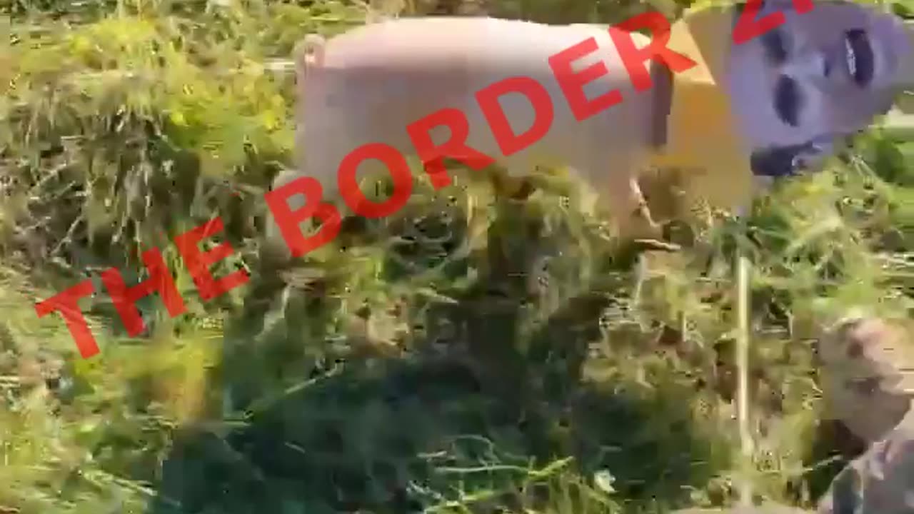 Mercenari francesi. Traduzione