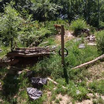 #Zoo #IDaho #Falls #2022