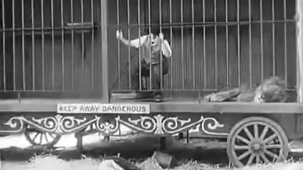 Charlie Chaplin funny video