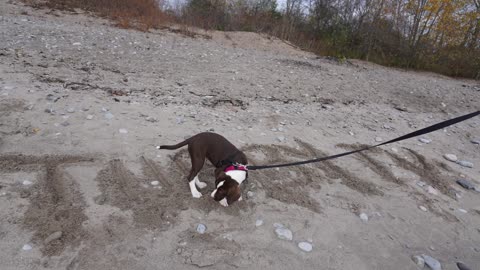 TUBBY AND MUMMY GO TO THE BEACH