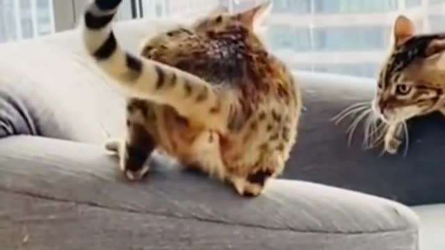 Don't_try_to_hold_back_your_laughterš¹