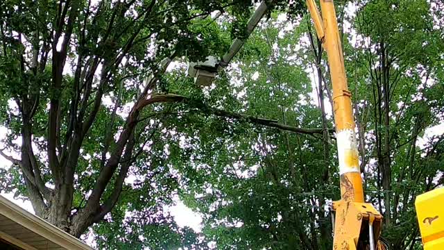 Time lapse video of trimming storm damaged tree