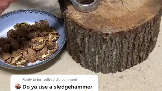 Will it work with BLACK Walnuts?