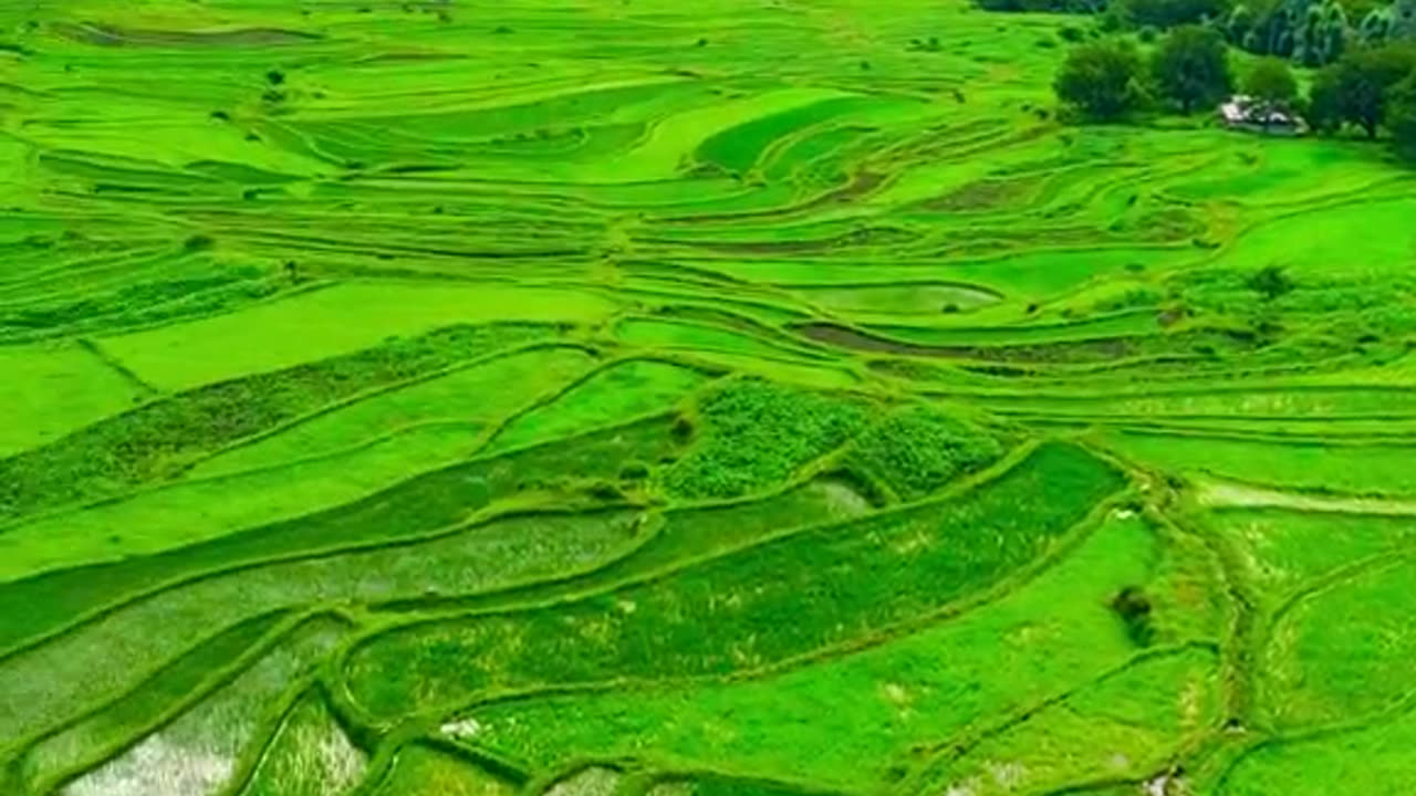 Leepa valley Pakistan ajk India Asia 🌏