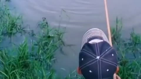 Fishing with bamboo pole