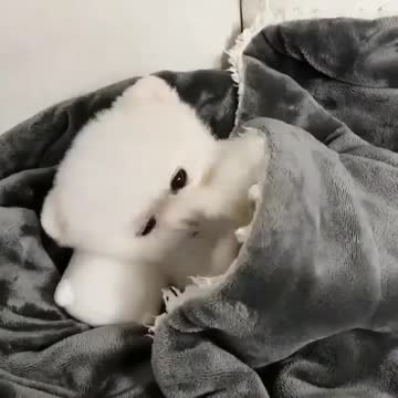 1. Good morning cutie you are soooo cute